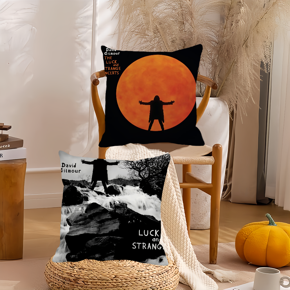 Singer D-David G-Gilmour Pillo - مراجعة Pillow Cover 20X20 وسعره