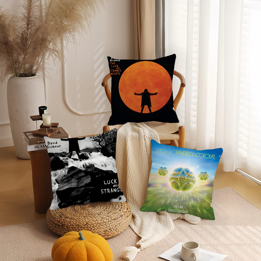 Singer D-David G-Gilmour Pillo - مراجعة Pillow Cover 20X20 وسعره