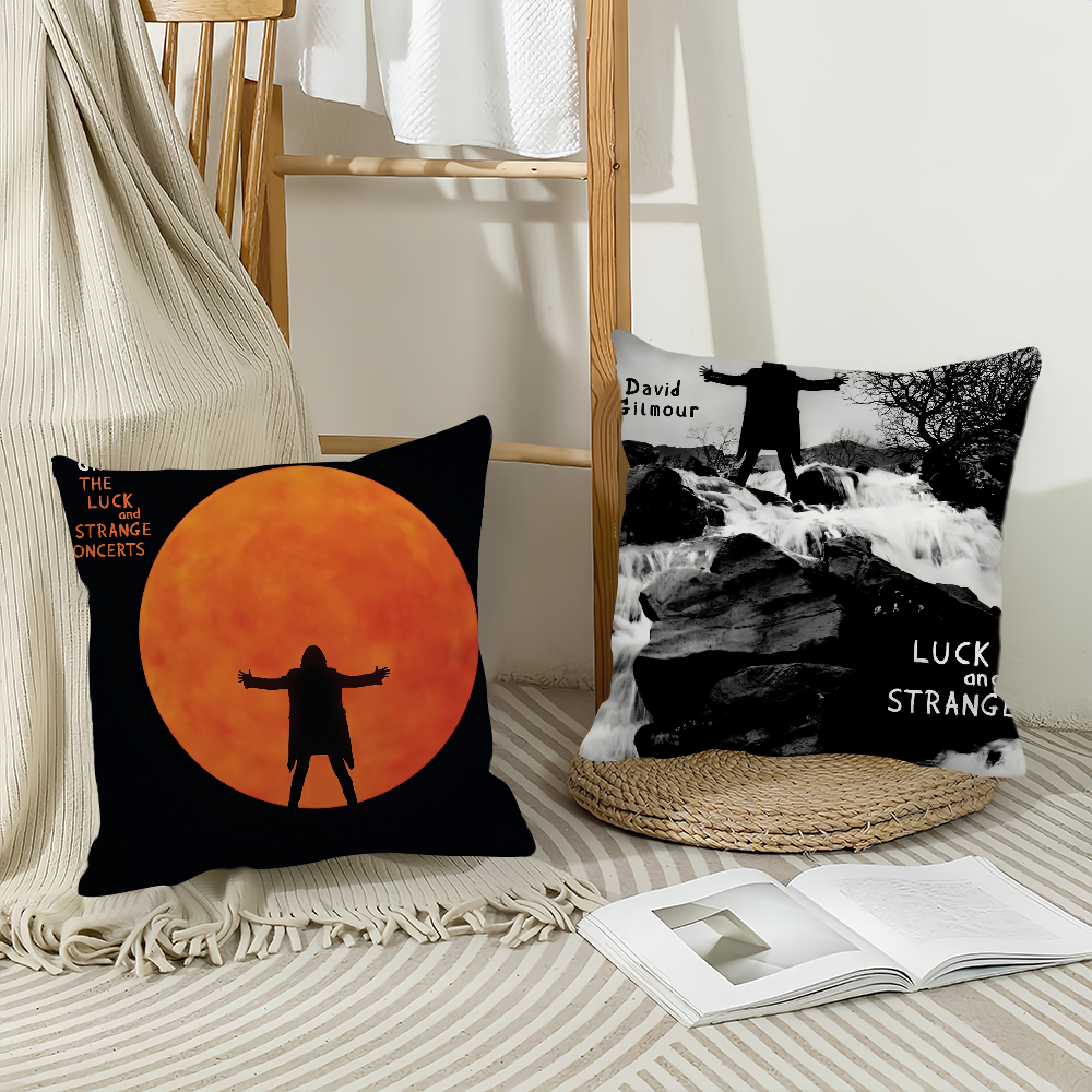 Singer D-David G-Gilmour Pillo - مراجعة Pillow Cover 20X20 وسعره
